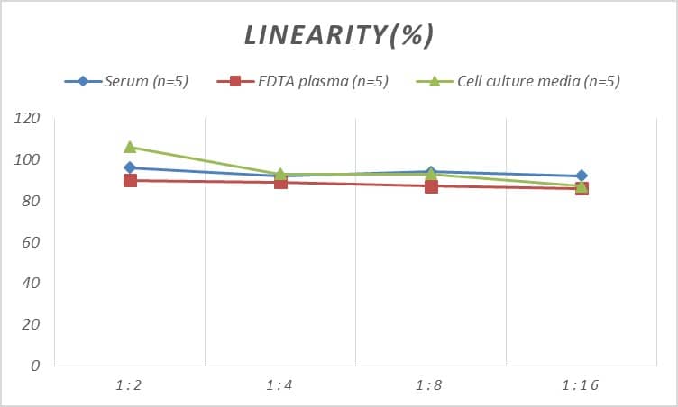 ELISA: Rat Betacellulin/BTC ELISA Kit (Colorimetric) [NBP2-70023] - Samples were spiked with high concentrations of Rat Betacellulin/BTC and diluted with Reference Standard & Sample Diluent to produce samples with values within the range of the assay.