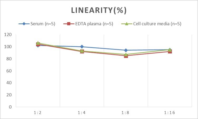 ELISA Human CEBP Delta ELISA Kit (Colorimetric)