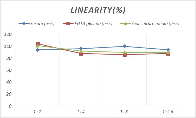 ELISA Rat CEBP Delta ELISA Kit (Colorimetric)