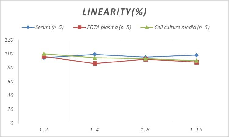 ELISA: Human CEBP epsilon ELISA Kit (Colorimetric) [NBP2-70028] - Samples were spiked with high concentrations of Human CEBP epsilon and diluted with Reference Standard & Sample Diluent to produce samples with values within the range of the assay.