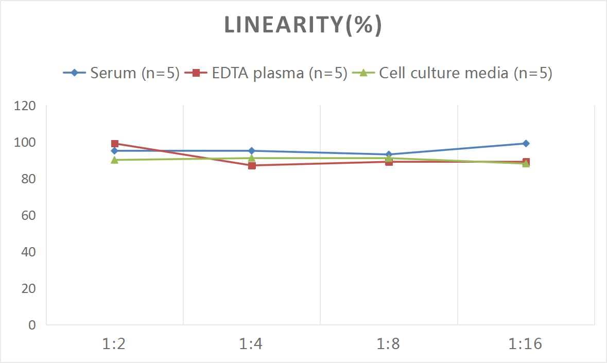 ELISA: Mouse Serpin G1/C1 Inhibitor ELISA Kit (Colorimetric) [NBP2-70029] - Samples were spiked with high concentrations of Mouse Serpin G1/C1 Inhibitor and diluted with Reference Standard & Sample Diluent to produce samples with values within the range of the assay.