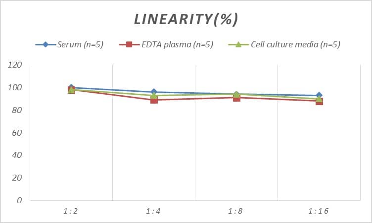 ELISA: Rat Serpin G1/C1 Inhibitor ELISA Kit (Colorimetric) [NBP2-70030] - Samples were spiked with high concentrations of Rat Serpin G1/C1 Inhibitor and diluted with Reference Standard & Sample Diluent to produce samples with values within the range of the assay.