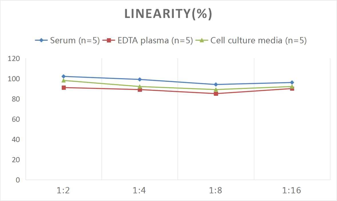 ELISA: Mouse Complement C4a ELISA Kit (Colorimetric) [NBP2-70044] - Samples were spiked with high concentrations of Mouse Complement C4a and diluted with Reference Standard & Sample Diluent to produce samples with values within the range of the assay.