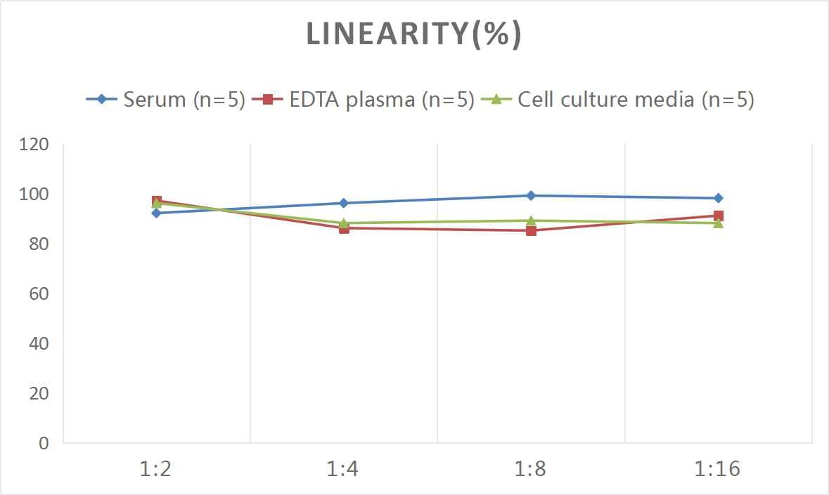 ELISA: Rat Complement C4a ELISA Kit (Colorimetric) [NBP2-70045] - Samples were spiked with high concentrations of Rat Complement C4a and diluted with Reference Standard & Sample Diluent to produce samples with values within the range of the assay.