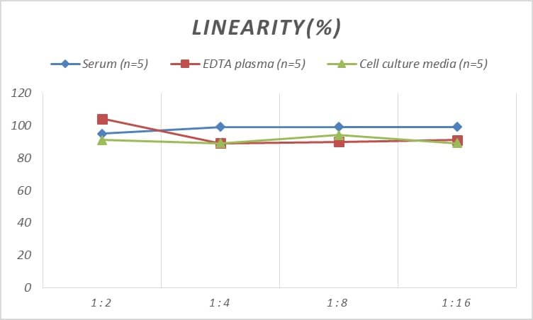 ELISA: Mouse Carbonic Anhydrase I/CA1 ELISA Kit (Colorimetric) [NBP2-70051] - Samples were spiked with high concentrations of Mouse Carbonic Anhydrase I/CA1 and diluted with Reference Standard & Sample Diluent to produce samples with values within the range of the assay.