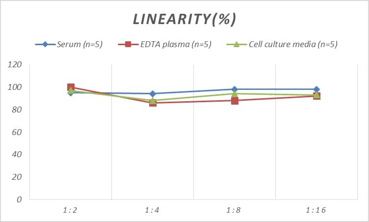 ELISA: Rat Carbonic Anhydrase I/CA1 ELISA Kit (Colorimetric) [NBP2-70052] - Samples were spiked with high concentrations of Rat Carbonic Anhydrase I/CA1 and diluted with Reference Standard & Sample Diluent to produce samples with values within the range of the assay.