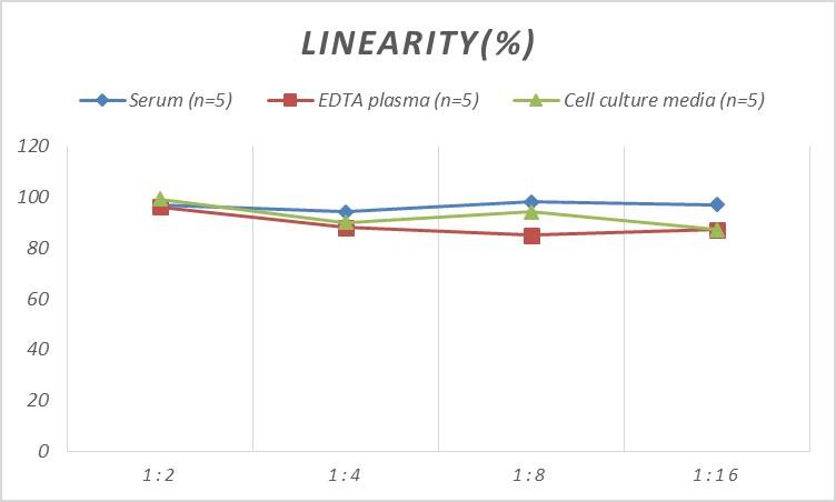 ELISA: Rat Carbohydrate Antigen 19-9 ELISA Kit (Colorimetric) [NBP2-70054] - Samples were spiked with high concentrations of Rat Carbohydrate Antigen 19-9 and diluted with Reference Standard & Sample Diluent to produce samples with values within the range of the assay.