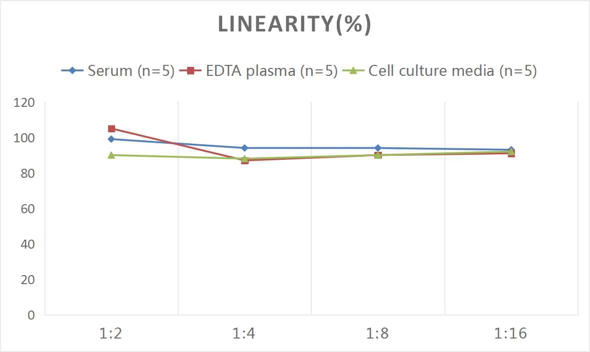 ELISA Rat Carbonic Anhydrase II/CA2 ELISA Kit (Colorimetric)