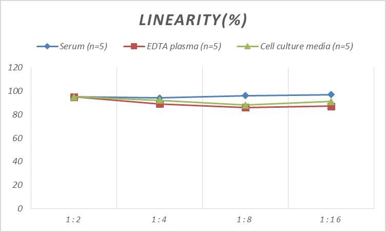 ELISA Human Carbonic Anhydrase VB/CA5B ELISA Kit (Colorimetric)