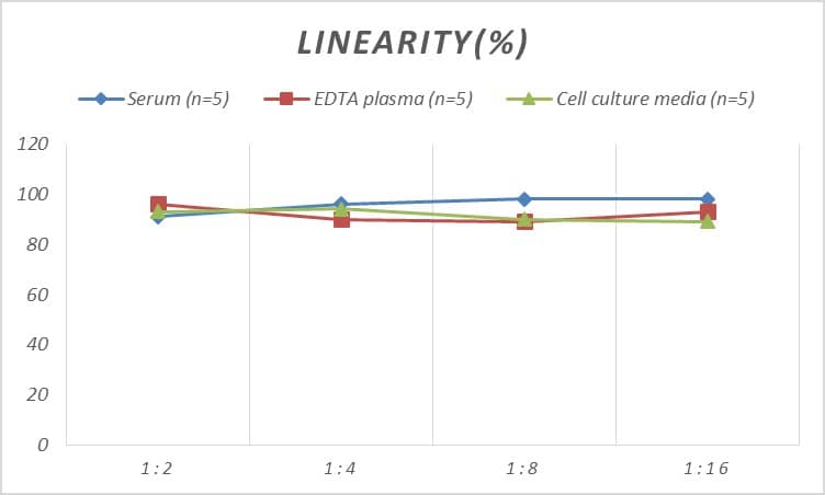 ELISA Rat CAIN ELISA Kit (Colorimetric)