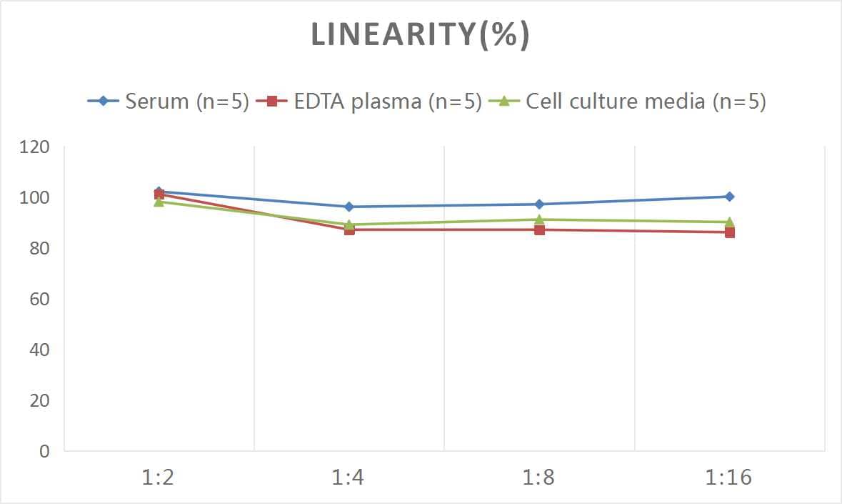 ELISA: Rat SLC25A20 ELISA Kit (Colorimetric) [NBP2-74961] - Samples were spiked with high concentrations of Rat SLC25A20 and diluted with Reference Standard & Sample Diluent to produce samples with values within the range of the assay.