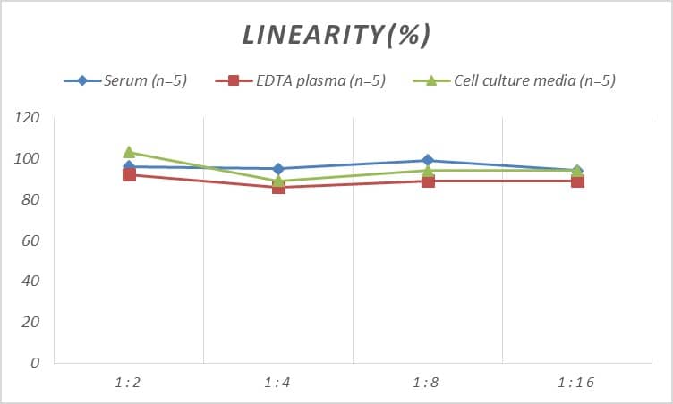 ELISA: Human DFF40/CAD ELISA Kit (Colorimetric) [NBP2-74965] - Samples were spiked with high concentrations of Human DFF40/CAD and diluted with Reference Standard & Sample Diluent to produce samples with values within the range of the assay.