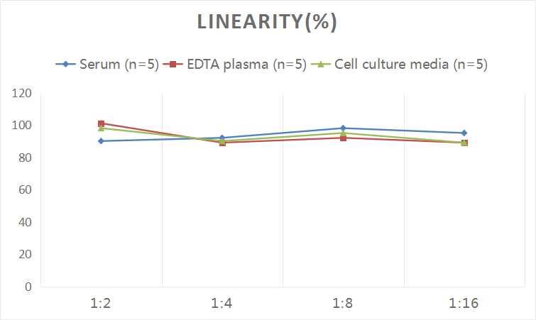 ELISA Human Caldesmon/CALD1 ELISA Kit (Colorimetric)