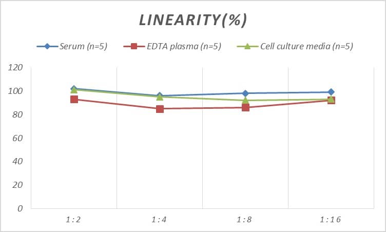 ELISA Rat Caldesmon/CALD1 ELISA Kit (Colorimetric)