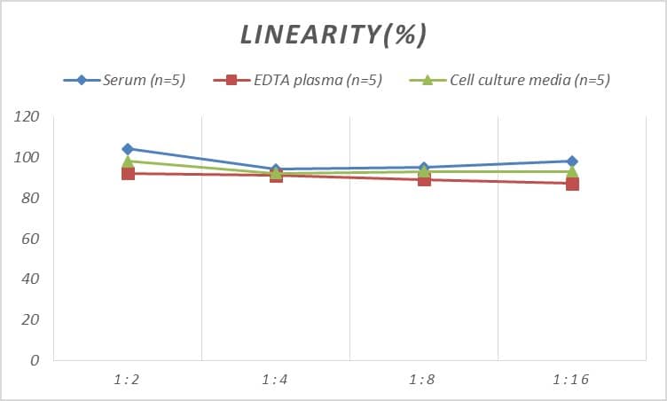 ELISA: Human CaMKIIN2 ELISA Kit (Colorimetric) [NBP2-74977] - Samples were spiked with high concentrations of Human CaMKIIN2 and diluted with Reference Standard & Sample Diluent to produce samples with values within the range of the assay.