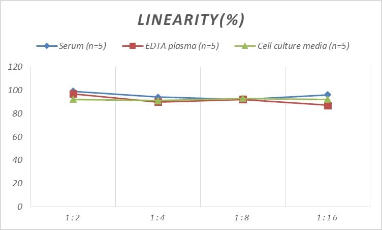 ELISA: Human CAP1 ELISA Kit (Colorimetric) [NBP2-74978] - Samples were spiked with high concentrations of Human CAP1 and diluted with Reference Standard & Sample Diluent to produce samples with values within the range of the assay.