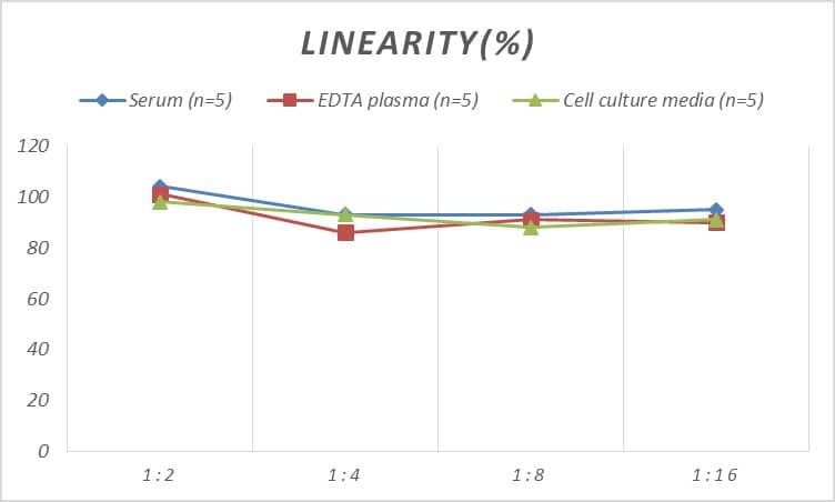 ELISA: Human Calpain 1 ELISA Kit (Colorimetric) [NBP2-74979] - Samples were spiked with high concentrations of Human Calpain 1 and diluted with Reference Standard & Sample Diluent to produce samples with values within the range of the assay.