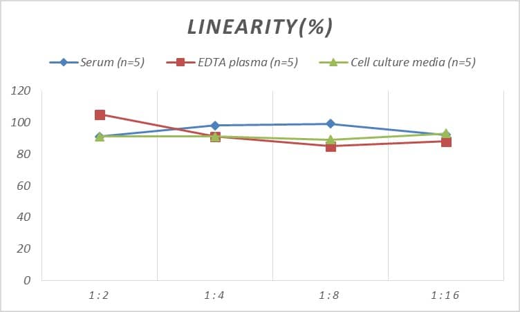 ELISA: Rat Calpain 1 ELISA Kit (Colorimetric) [NBP2-74980] - Samples were spiked with high concentrations of Rat Calpain 1 and diluted with Reference Standard & Sample Diluent to produce samples with values within the range of the assay.