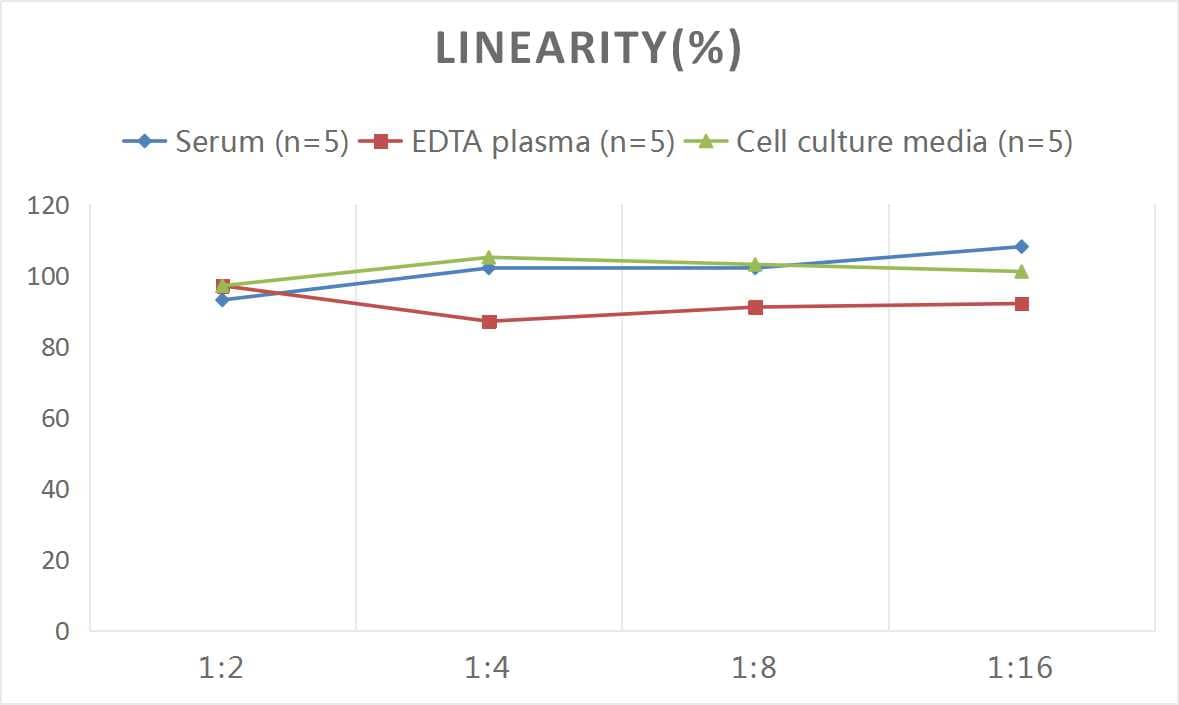 ELISA: Rat IgE ELISA Kit (Colorimetric) [NBP2-75007] - Samples were spiked with high concentrations of Rat IgE and diluted with Reference Standard & Sample Diluent to produce samples with values within the range of the assay.