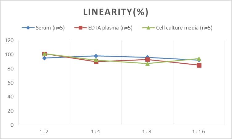 ELISA Rat Caspase-12 ELISA Kit (Colorimetric)