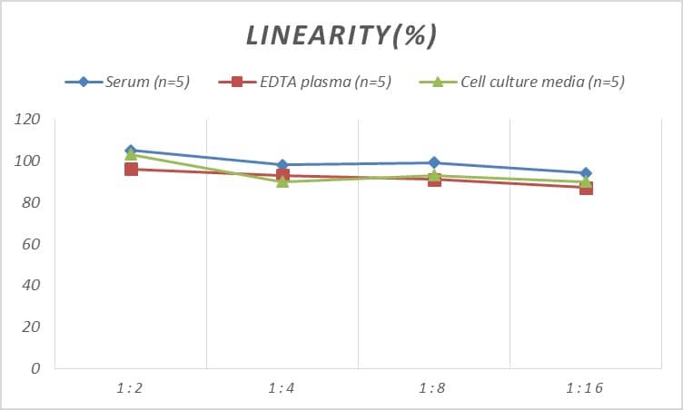 ELISA Mouse Caveolin-1 ELISA Kit (Colorimetric)