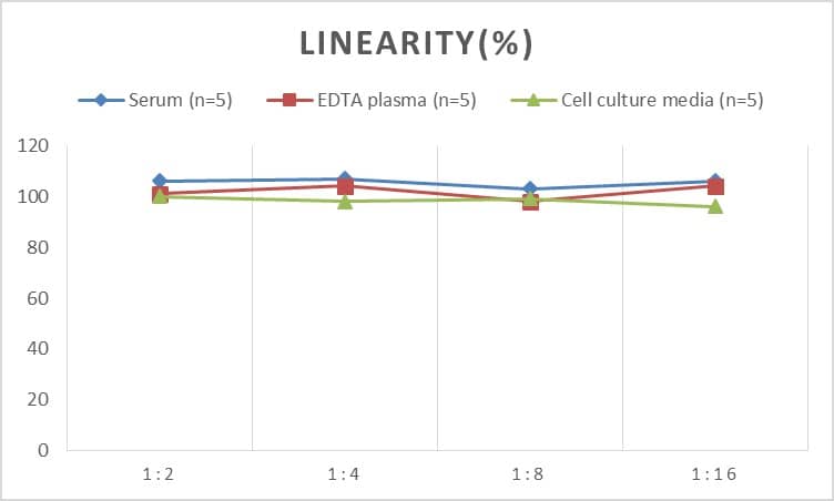 ELISA: Monkey Caveolin-1 ELISA Kit (Colorimetric) [NBP2-75051] - Samples were spiked with high concentrations of Monkey Caveolin-1 and diluted with Reference Standard & Sample Diluent to produce samples with values within the range of the assay.