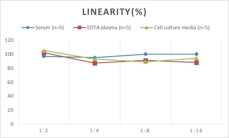 ELISA: Rat Caveolin-1 ELISA Kit (Colorimetric) [NBP2-75052] - Samples were spiked with high concentrations of Rat Caveolin-1 and diluted with Reference Standard & Sample Diluent to produce samples with values within the range of the assay.