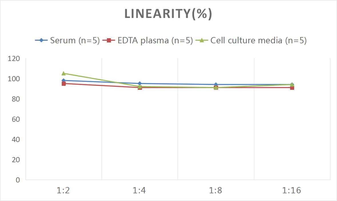 ELISA Human Serpin A6/Cortisol Binding Globulin ELISA Kit (Colorimetric)