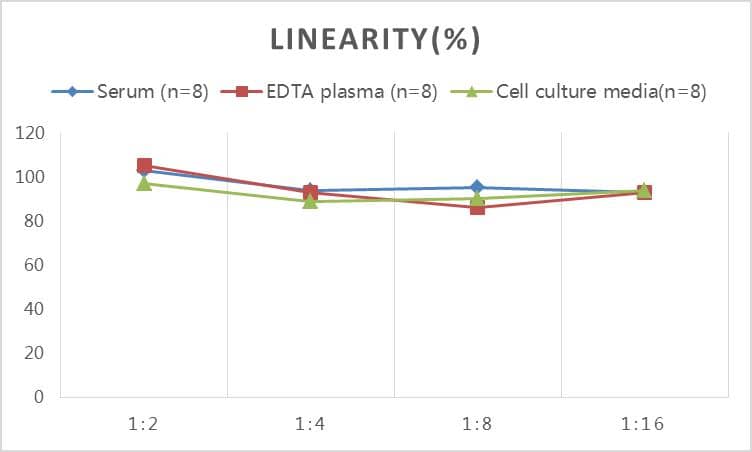 ELISA Rat Serpin A6/Cortisol Binding Globulin ELISA Kit (Colorimetric)