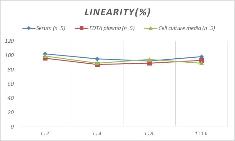 ELISA: Human Cholecystokinin-B R/CCKBR ELISA Kit (Colorimetric) [NBP2-75061] - Samples were spiked with high concentrations of Human Cholecystokinin-B R/CCKBR and diluted with Reference Standard & Sample Diluent to produce samples with values within the range of the assay.