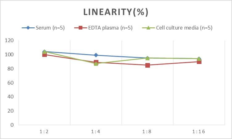 ELISA: Mouse Cholecystokinin-B R/CCKBR ELISA Kit (Colorimetric) [NBP2-75062] - Samples were spiked with high concentrations of Mouse Cholecystokinin-B R/CCKBR and diluted with Reference Standard & Sample Diluent to produce samples with values within the range of the assay.