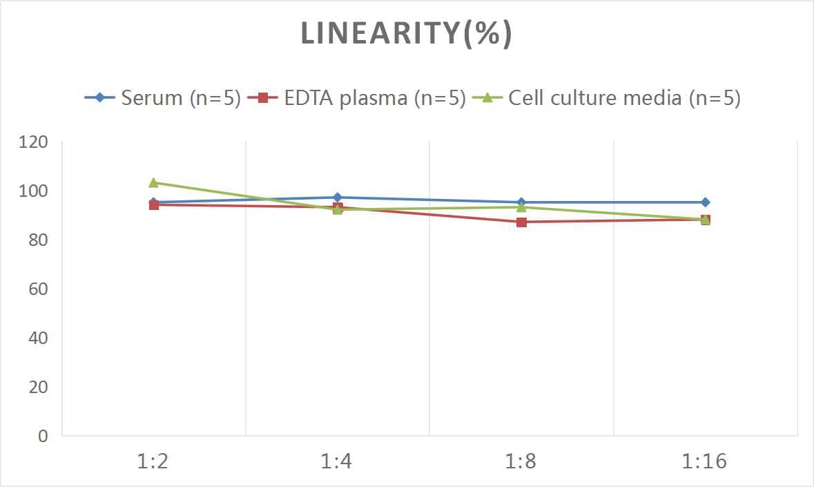 ELISA: Mouse CCL1/I-309/TCA-3 ELISA Kit (Colorimetric) [NBP2-75064] - Samples were spiked with high concentrations of Mouse CCL1/I-309/TCA-3 and diluted with Reference Standard & Sample Diluent to produce samples with values within the range of the assay.