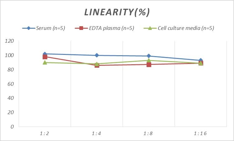 ELISA: Human Cyclin D2 ELISA Kit (Colorimetric) [NBP2-75103] - Samples were spiked with high concentrations of Human Cyclin D2 and diluted with Reference Standard & Sample Diluent to produce samples with values within the range of the assay.