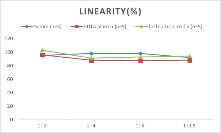 ELISA: Mouse Cyclin D2 ELISA Kit (Colorimetric) [NBP2-75104] - Samples were spiked with high concentrations of Mouse Cyclin D2 and diluted with Reference Standard & Sample Diluent to produce samples with values within the range of the assay.