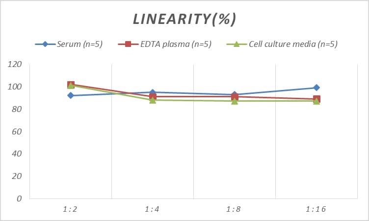 ELISA: Rat Cyclin D2 ELISA Kit (Colorimetric) [NBP2-75105] - Samples were spiked with high concentrations of Rat Cyclin D2 and diluted with Reference Standard & Sample Diluent to produce samples with values within the range of the assay.