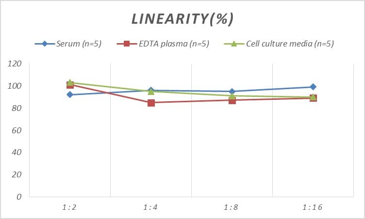 ELISA: Mouse Cyclin E2 ELISA Kit (Colorimetric) [NBP2-75110] - Samples were spiked with high concentrations of Mouse Cyclin E2 and diluted with Reference Standard & Sample Diluent to produce samples with values within the range of the assay.