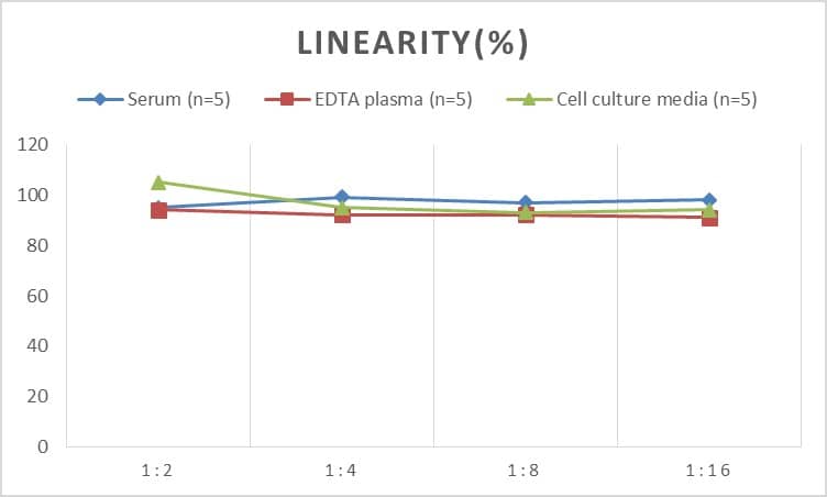 ELISA: Rat Cyclin E2 ELISA Kit (Colorimetric) [NBP2-75111] - Samples were spiked with high concentrations of Rat Cyclin E2 and diluted with Reference Standard & Sample Diluent to produce samples with values within the range of the assay.