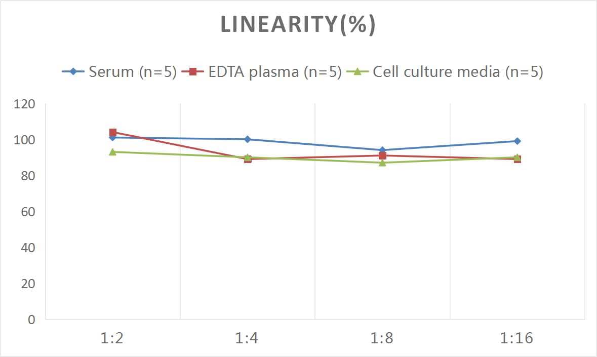 ELISA Human CCR2 ELISA Kit (Colorimetric)