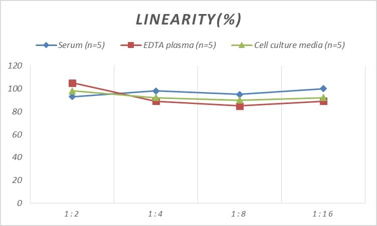 ELISA: Rat CCR11 ELISA Kit (Colorimetric) [NBP2-75121] - Samples were spiked with high concentrations of Rat CCR11 and diluted with Reference Standard & Sample Diluent to produce samples with values within the range of the assay.