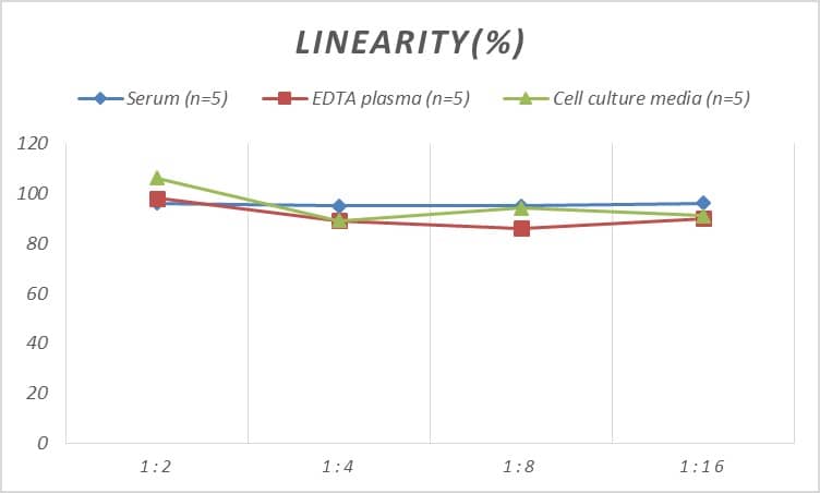 ELISA: Rat CD28 ELISA Kit (Colorimetric) [NBP2-75136] - Samples were spiked with high concentrations of Rat CD28 and diluted with Reference Standard & Sample Diluent to produce samples with values within the range of the assay.