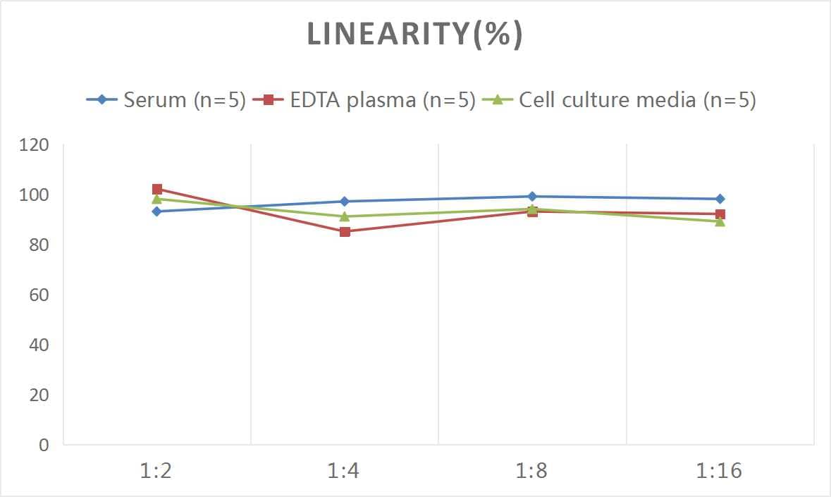 ELISA: Rat CD3 ELISA Kit (Colorimetric) [NBP2-75138] - Samples were spiked with high concentrations of Rat CD3 and diluted with Reference Standard & Sample Diluent to produce samples with values within the range of the assay.