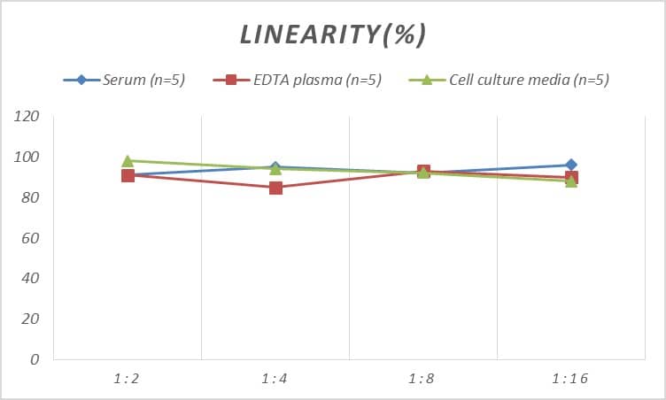 ELISA Human CD30 Ligand/TNFSF8 ELISA Kit (Colorimetric)