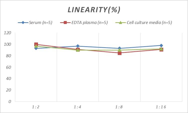 ELISA Human CD3 epsilon ELISA Kit (Colorimetric)