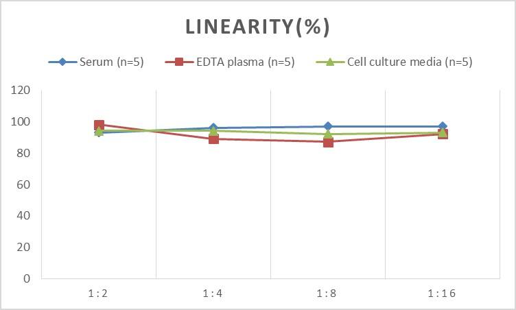 ELISA: Mouse CD97 ELISA Kit (Colorimetric) [NBP2-75164] - Samples were spiked with high concentrations of Mouse CD97 and diluted with Reference Standard & Sample Diluent to produce samples with values within the range of the assay.