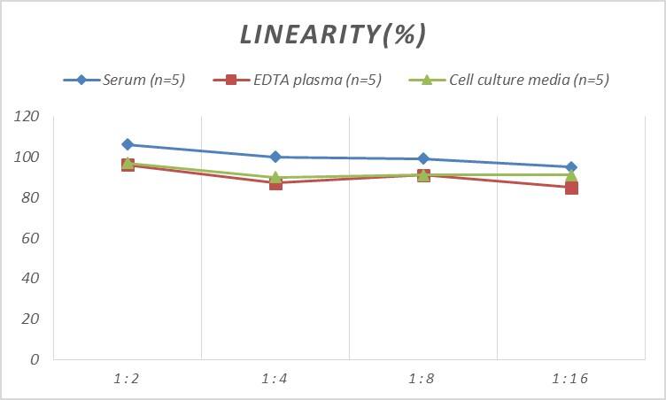 ELISA: Rat CD97 ELISA Kit (Colorimetric) [NBP2-75165] - Samples were spiked with high concentrations of Rat CD97 and diluted with Reference Standard & Sample Diluent to produce samples with values within the range of the assay.