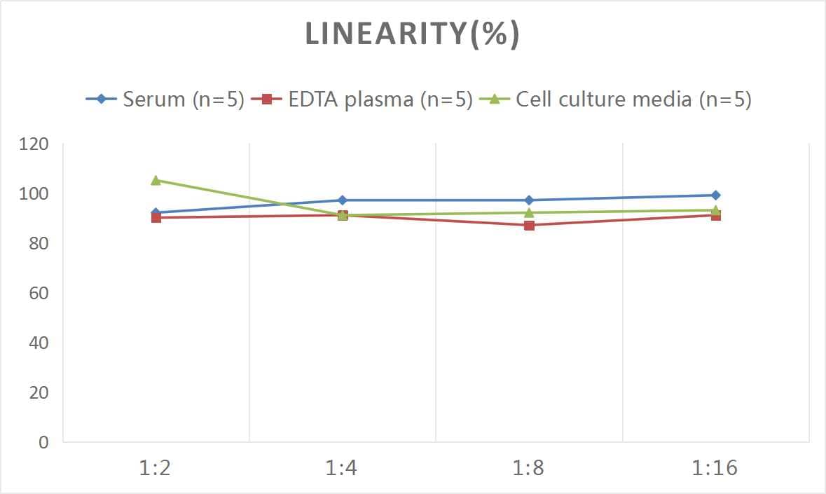 ELISA Human CDK4 ELISA Kit (Colorimetric)