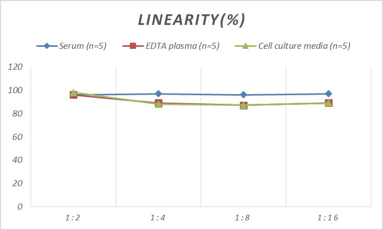 ELISA Rat CDK4 ELISA Kit (Colorimetric)