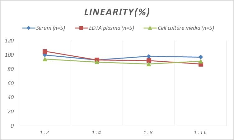 ELISA: Human Cdk5 ELISA Kit (Colorimetric) [NBP2-75174] - Samples were spiked with high concentrations of Human Cdk5 and diluted with Reference Standard & Sample Diluent to produce samples with values within the range of the assay.