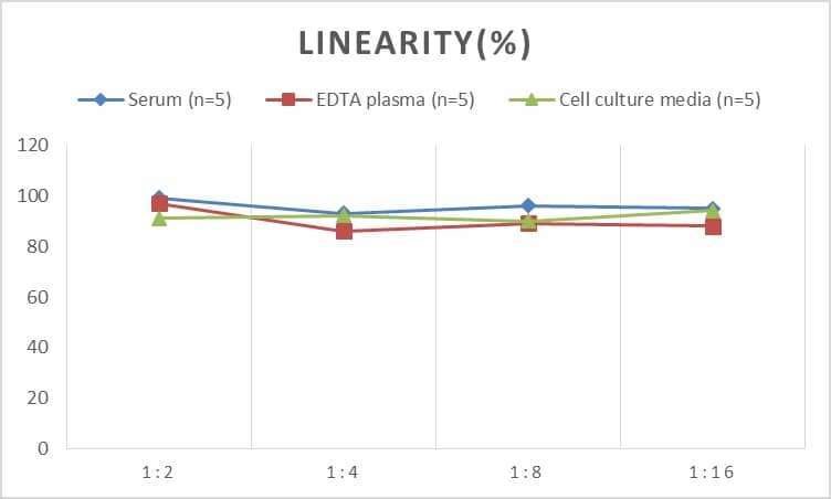 ELISA: Rat Cdk5 ELISA Kit (Colorimetric) [NBP2-75176] - Samples were spiked with high concentrations of Rat Cdk5 and diluted with Reference Standard & Sample Diluent to produce samples with values within the range of the assay.