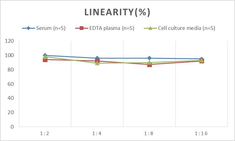 ELISA: Mouse p27/Kip1 ELISA Kit (Colorimetric) [NBP2-75208] - Samples were spiked with high concentrations of Mouse p27/Kip1 and diluted with Reference Standard & Sample Diluent to produce samples with values within the range of the assay.